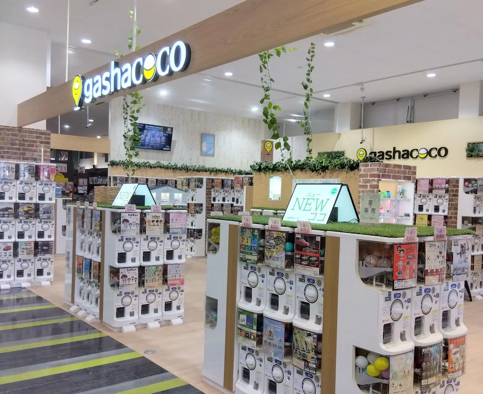 平安 堂 伊那 店