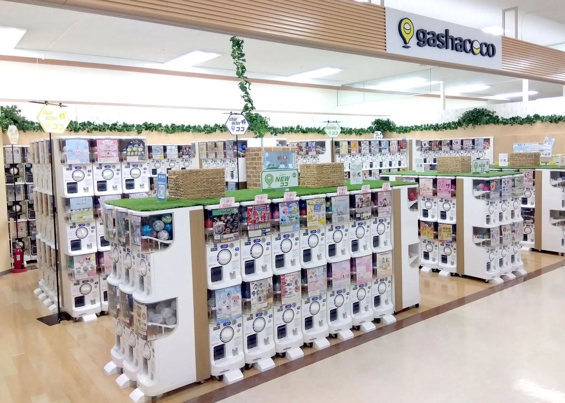 サンエー 具志川 メイン シティ