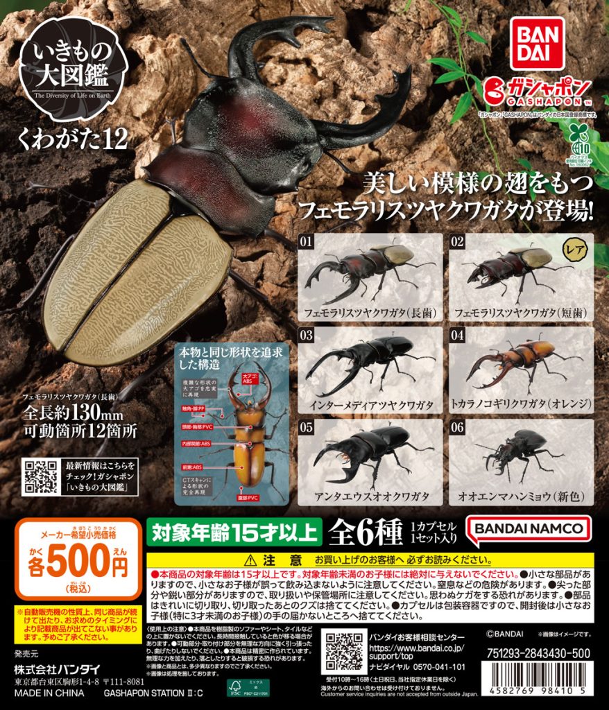 いきもの大図鑑 くわがた12 | ガシャココ（gashacoco）
