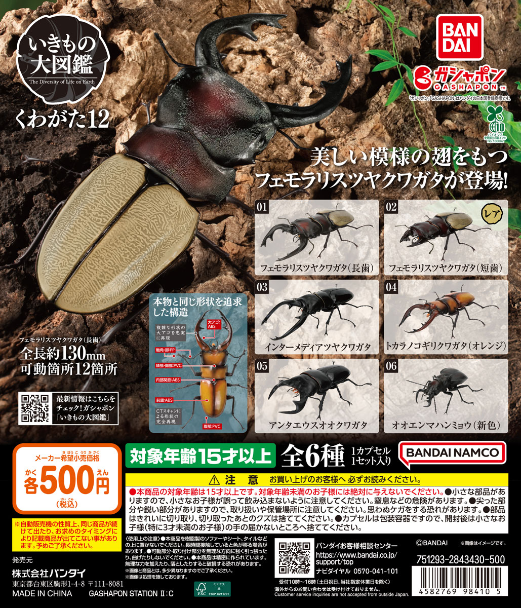 いきもの大図鑑 くわがた12 | ガシャココ（gashacoco）