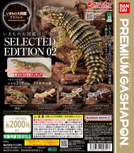 にっこりーノ お弁当のぬいぐるみベビー NEWカラー | ガシャココ
