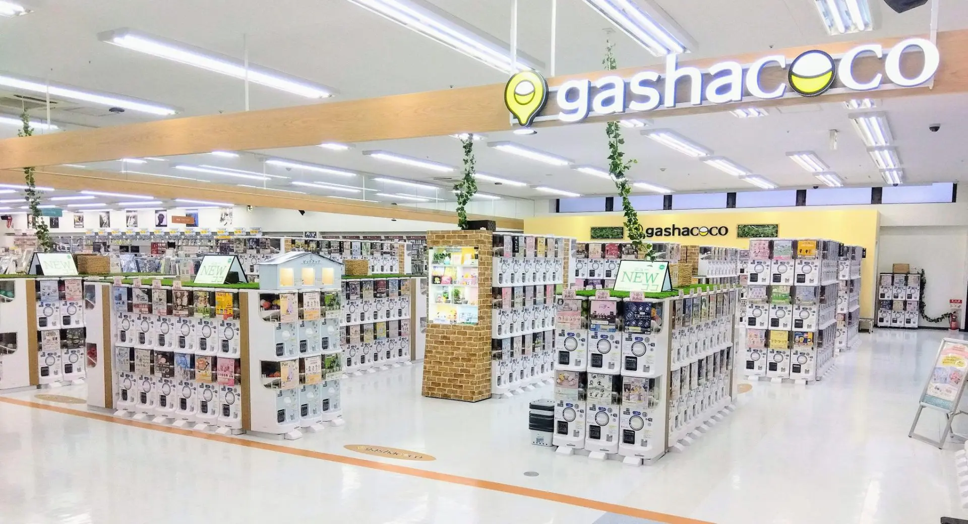 コーチャン フォー ミュンヘン 大橋 店