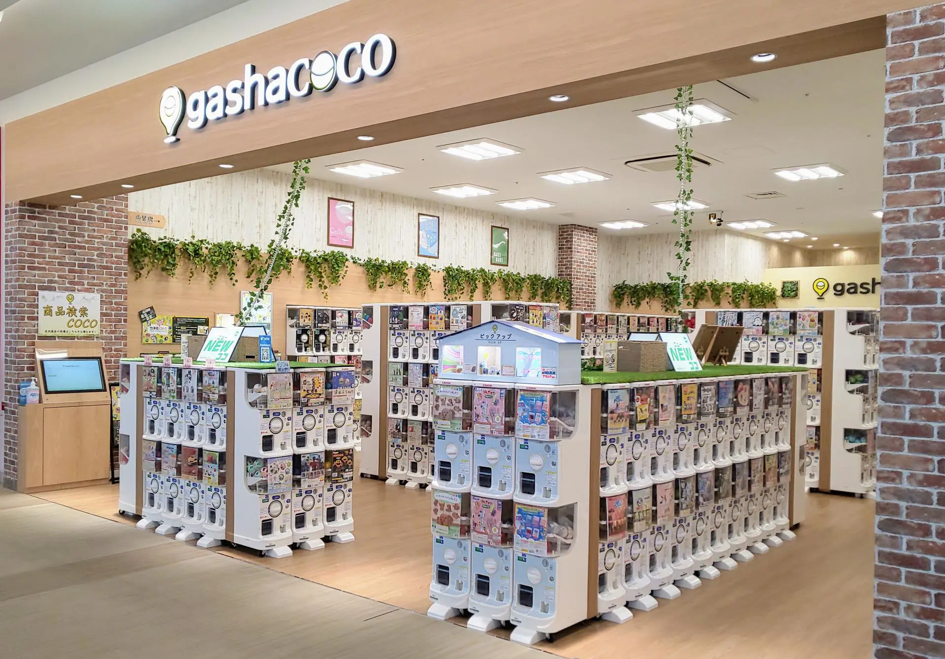 3/10新店オープン】gashacoco ららぽーとエキスポシティ[大阪府