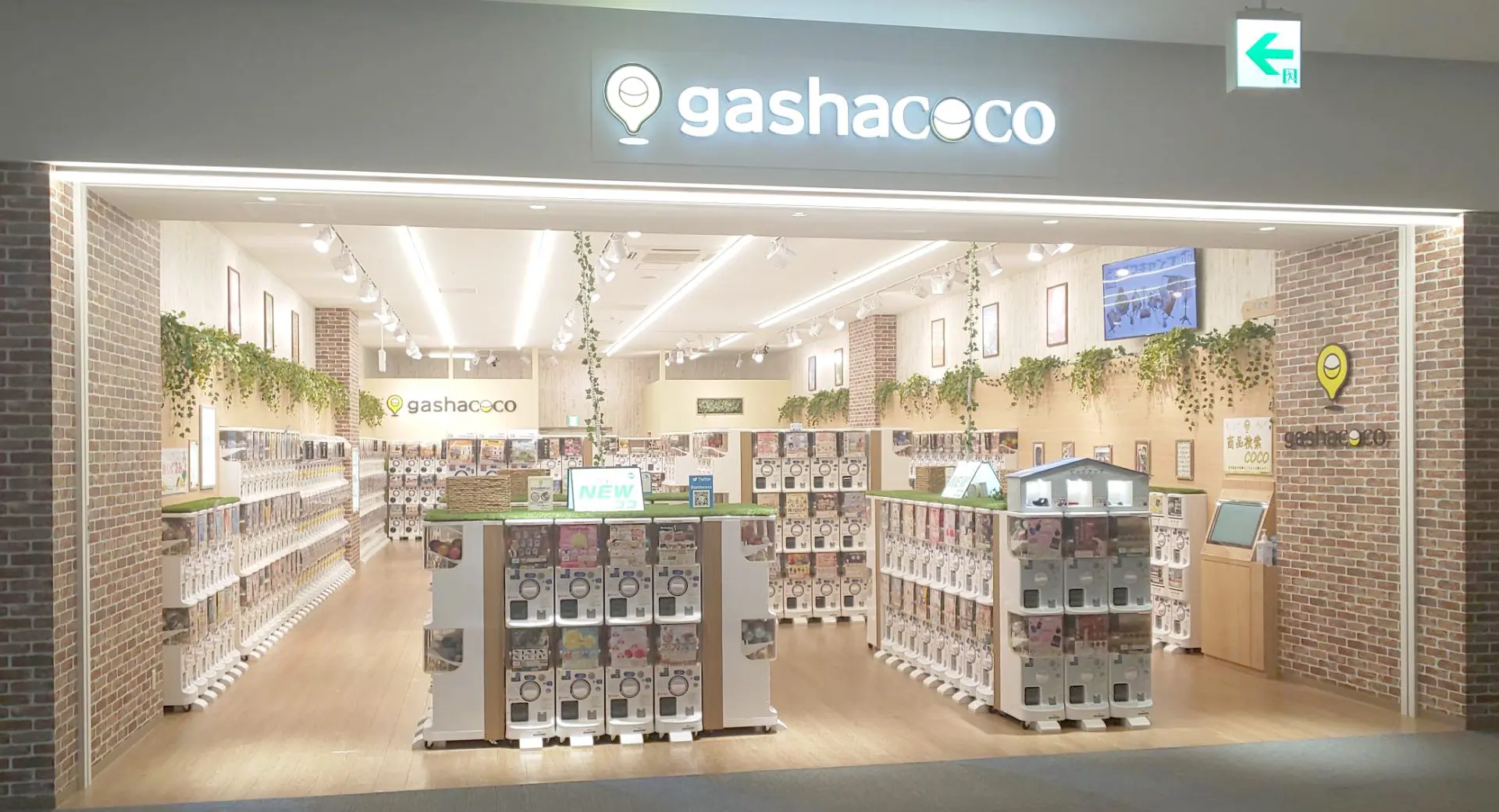 3/17新店オープン】gashacoco ららぽーと湘南平塚2号店[神奈川県] | ガシャココ（gashacoco）