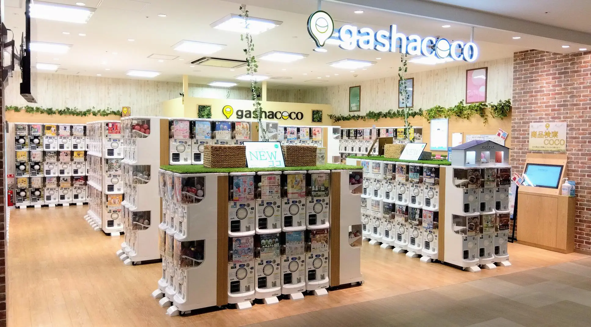 4/19新店オープン】gashacoco ララガーデン長町[宮城県] | ガシャココ