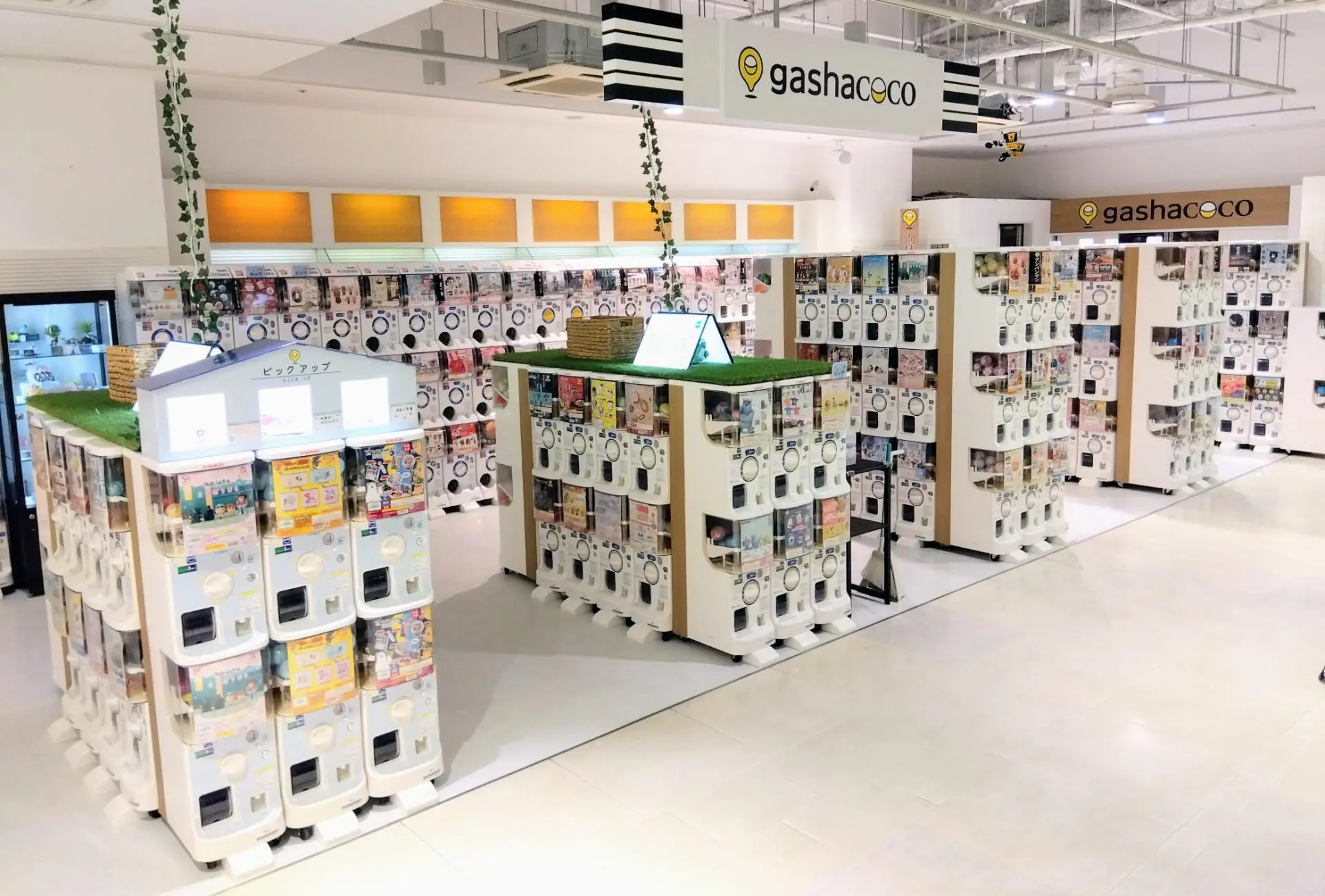 営業終了】gashacoco アミュプラザ鹿児島[鹿児島県] | ガシャココ