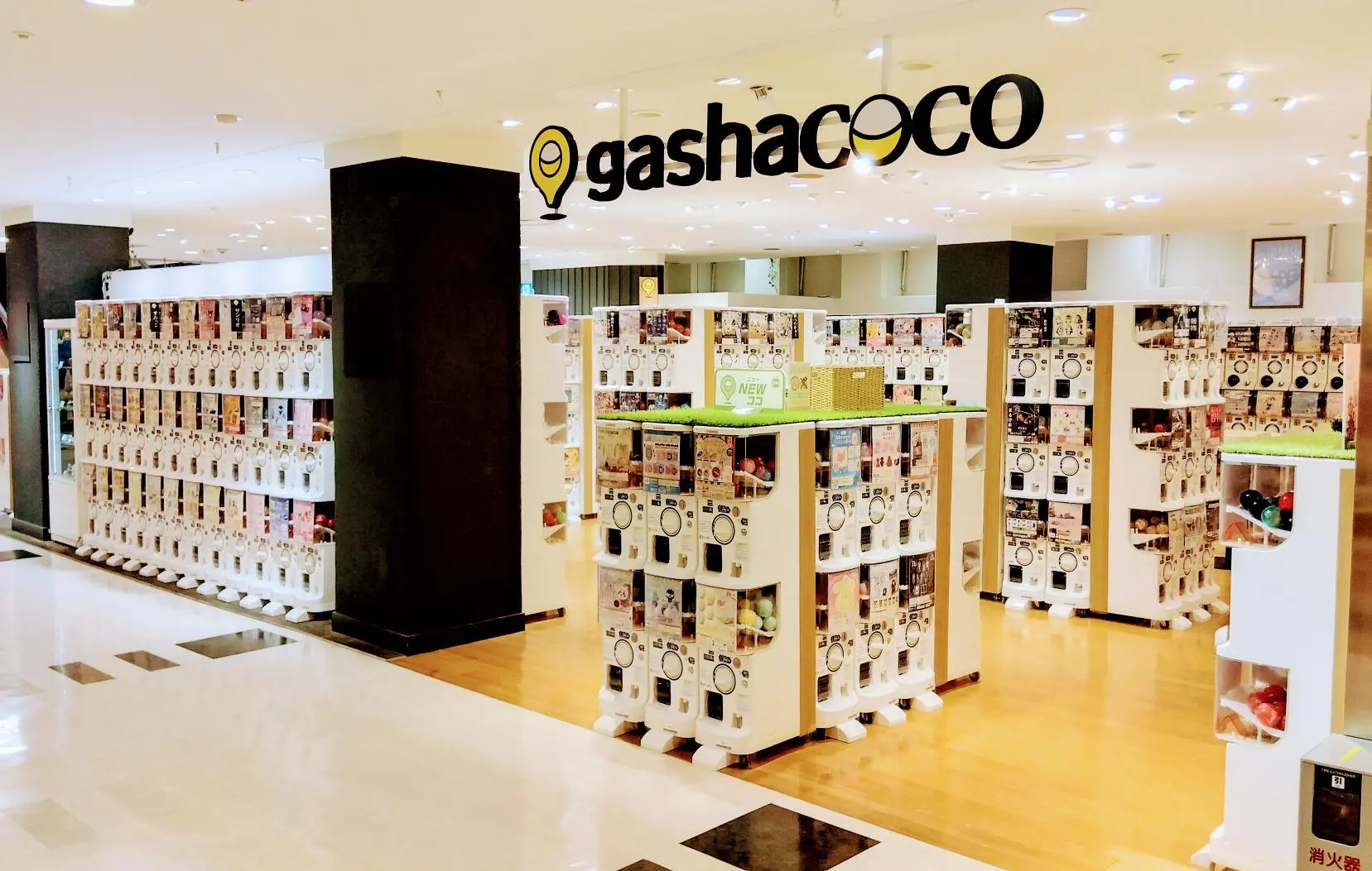 営業終了】gashacoco エスパル福島[福島県] | ガシャココ（gashacoco）