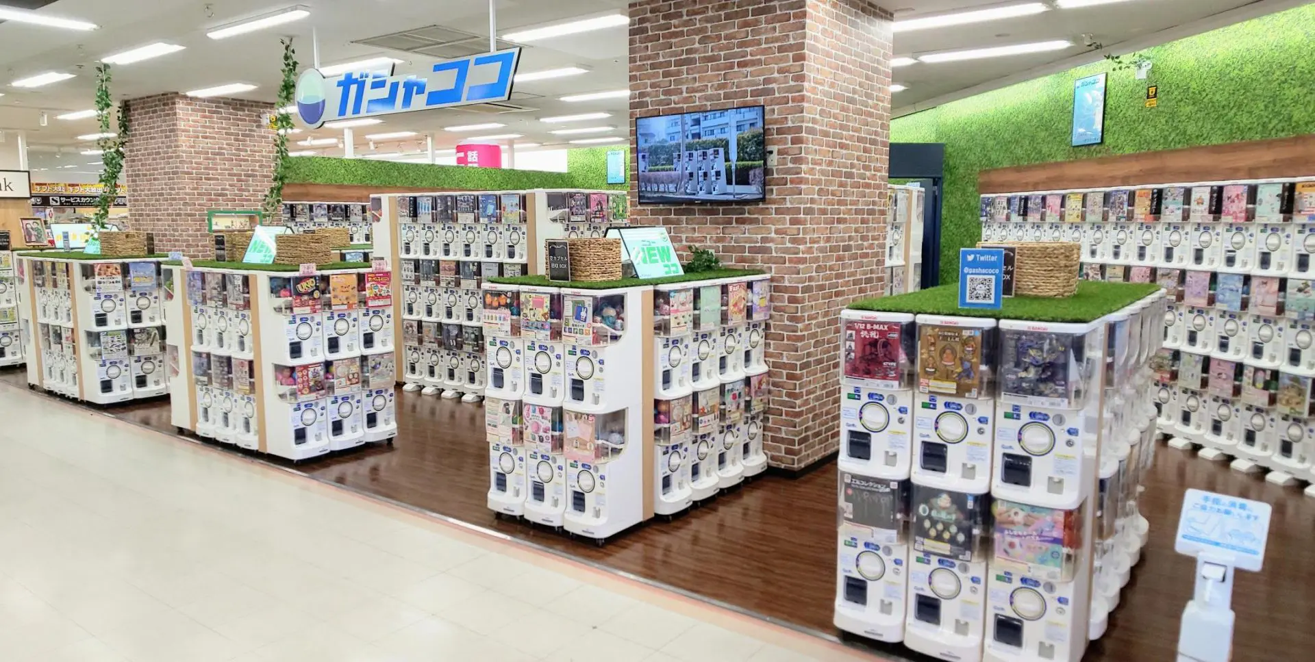 新店オープン】ガシャココ 上水戸[茨城県] | ガシャココ（gashacoco）