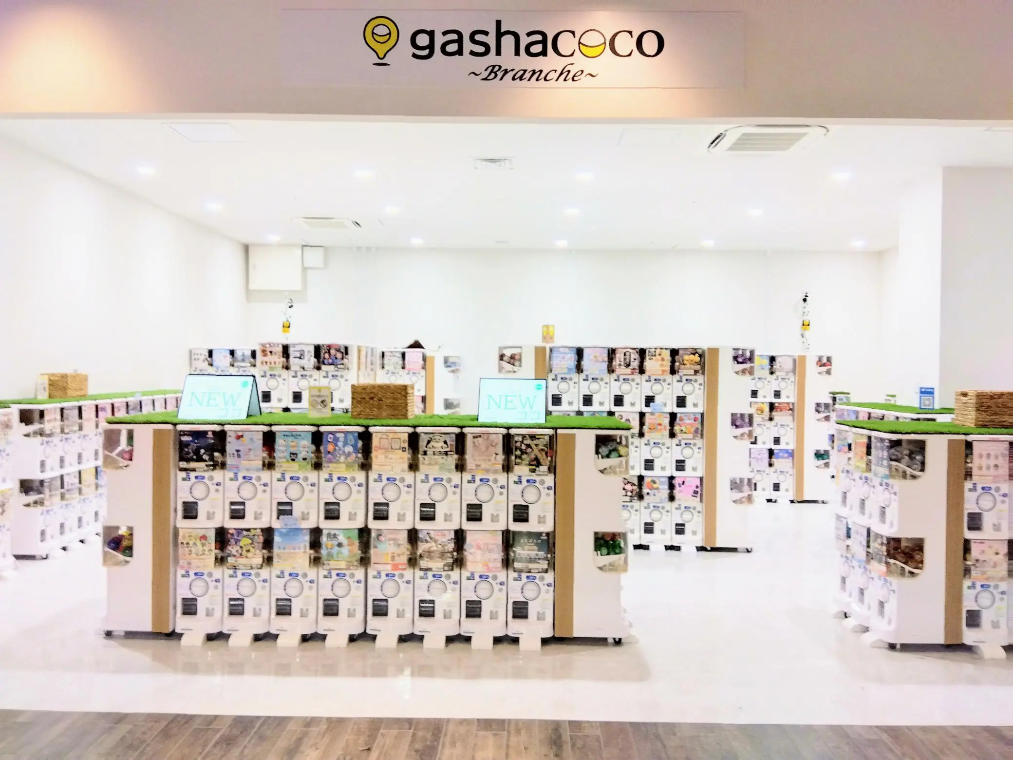 KANEKO ISAO✨メチャクチャ可愛い上下セット カプセルトイ専門店『gashacoco（ガシャココ）』ドコモショップ隣へ初