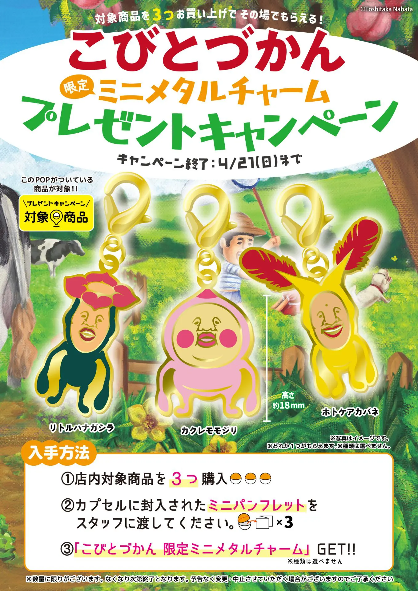 キャンペーン終了】【3/27(水)～キャンペーン開始】「こびとづかん