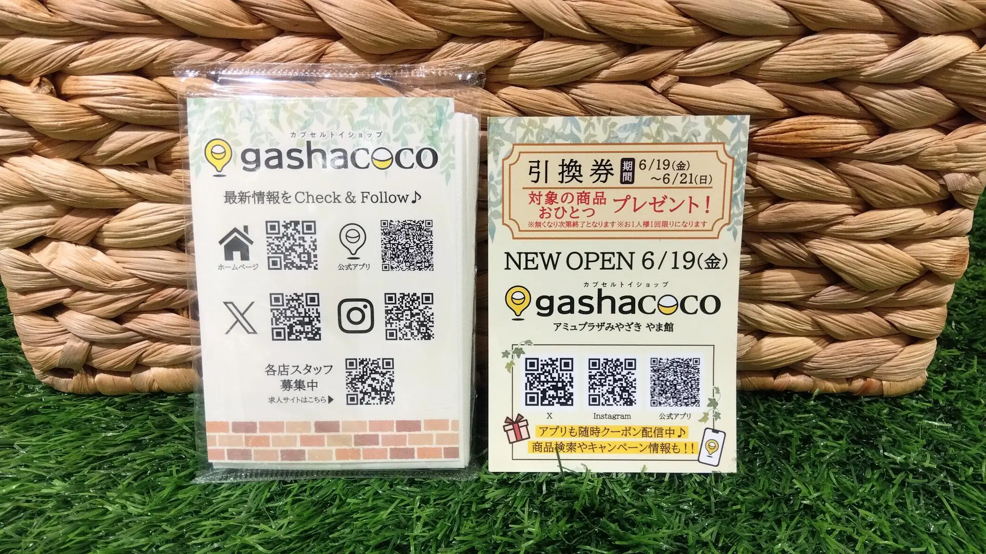 アチャコ様ご注文 6/19新規オープン】gashacoco アミュプラザみやざき やま館［宮崎県
