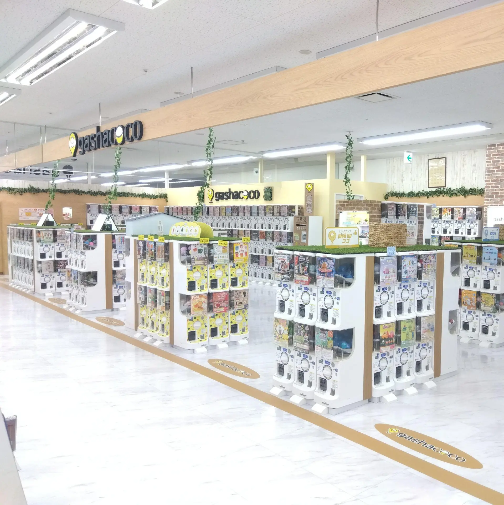 9/13新規オープン】gashacoco コーチャンフォー釧路[北海道