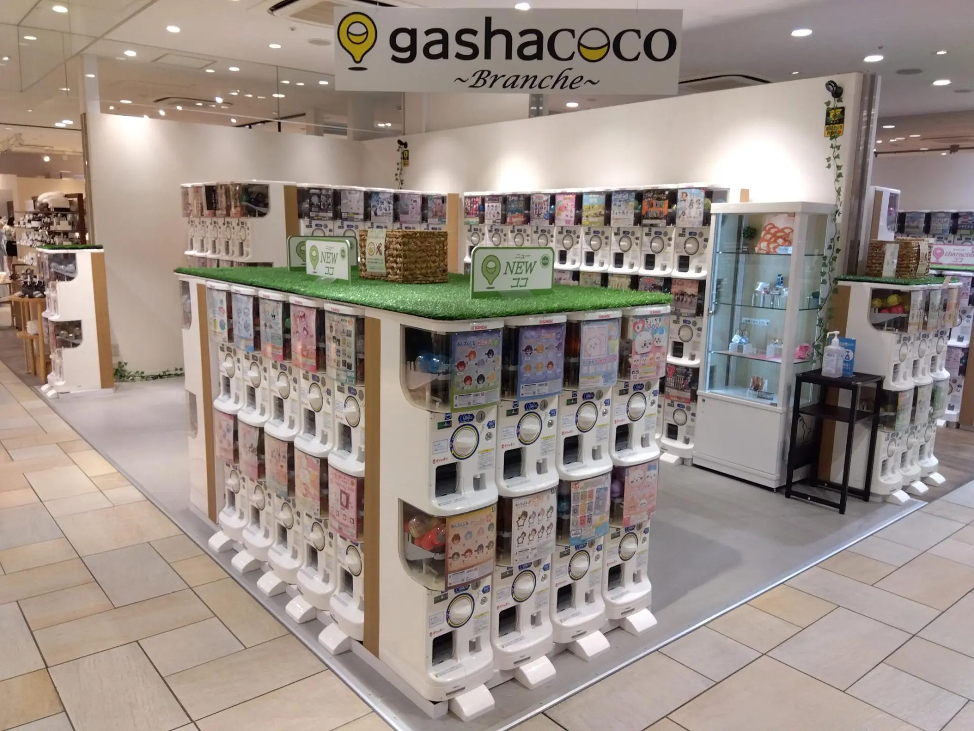 5/16 新規オープン】gashacoco Brancheさんすて岡山 [岡山県